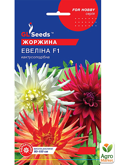 Жоржина кактусовидні "Евеліна F1" ТМ "GL Seeds" 0.25г