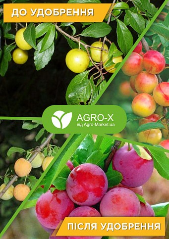 Минеральное удобрение PLANT BUILDER "Для ягодных  кустарников и деревьев" (Плант билдер) ТМ "AGRO-X" 80г - фото 3