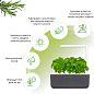 Умный сад - гидропонная установка для растений Click & Grow серый (7229 SG3)
