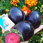 Слива диплоидная "Блэк Сплендор" (Black Splendor) (летний сорт, средний срок созревания)