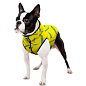 Курточка для собак WAUDOG Clothes рисунок "Смелость", XS25, В 36-38 см, С 27-30 см (5725-0231) цена
