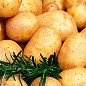 Картофель "Электра" семенной среднеранний (на жарку, 1 репродукция) 1кг купить