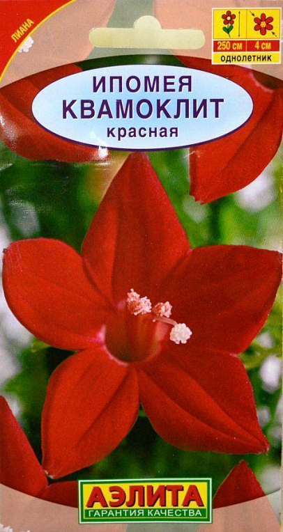 Ипомея "Квамоклит" красная ТМ "Аэлита" 0.5г