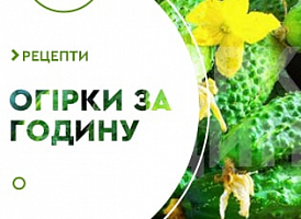 Малосольні огірки за годину - корисні статті про садівництво від Agro-Market