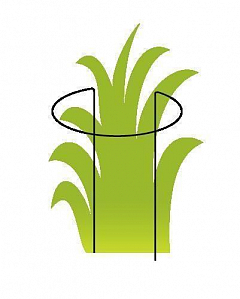 Опора для растений ТМ "ORANGERIE" тип P (зеленый цвет, высота 400 мм, кольцо 260 мм, диаметр проволки 5 мм)2