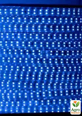Дюралайт-лента LEMANSO 180LED IP68 синяя 2835SMD 230V 15W/м 1080LM / LM848 100м/бухта (931859) - фото 2