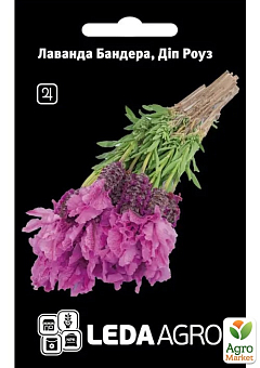 Лаванда Бандера "Дип роуз"  ТМ "Leda Agro" 5шт1