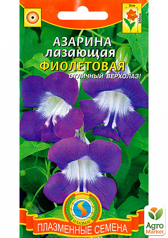 Азарина лазающая "Фиолетовая" ТМ "Плазменные семена" 10шт NEW