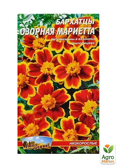 Чорнобривці "Бешкетна Марієтта" ТМ "Весна" 0.3г30