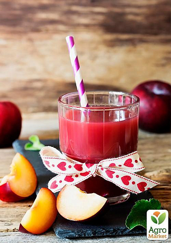 Слива "Ренклод Альтана" (літній сорт, середній термін дозрівання) - фото 4