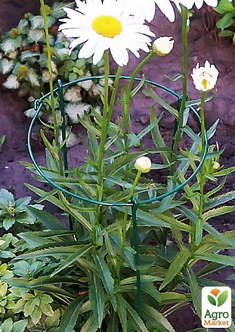 Опора для рослин ТМ "ORANGERIE" тип Ri (зелений колір, висота 600 мм, кільце 200 мм, діаметр дроту 4/3 мм) - фото 2