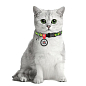 Ошейник для кошек нейлоновый WAUDOG Nylon с QR паспортом, рисунок "Авокадо", пластиковый фастекс, Ш 10 мм, Длина 20-30 см (5280) купить