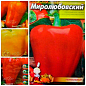 Комплект семян перца "Чудо перчики" 5уп