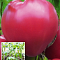 Розсада Томат «Волове серце рожеве» (фермерське вирощування), 1шт в упаковці