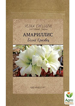 Амариліс "Білий красень" ТМ "Vesna Exclusive" 10шт22