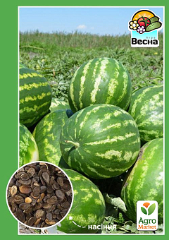 Арбуз "Астраханский" ТМ "Весна" 1.5г20
