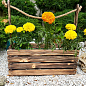 Ящик декоративний дерев'яний для зберігання та квітів "Жиральдо" д. 44см, ш. 17см, ст. 17см, висота з ручкою 45см. (обпалений з дерев'яними ручками)