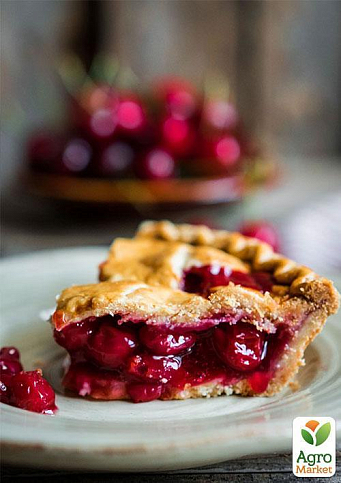 Вишня "Іграшка" (літній сорт, ранній термін дозрівання) - фото 4