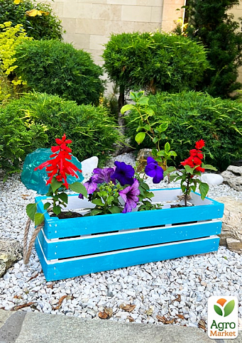 Ящик дерев'яний для зберігання декору та квітів "Франческа" довжина 44см, ширина 17см, висота 13см. (синій із ручками) - фото 3