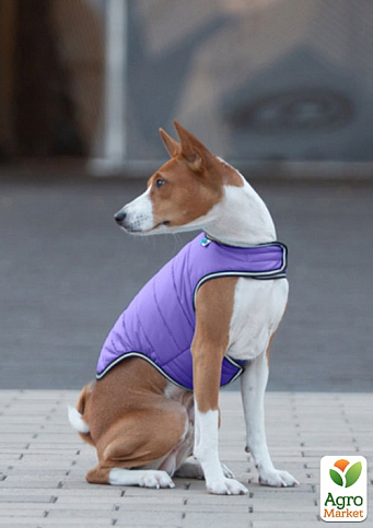 Куртка-накидка для собак AiryVest, XXS, B 29-36 см, С 14-20 см фиолетовый (15409) - фото 4