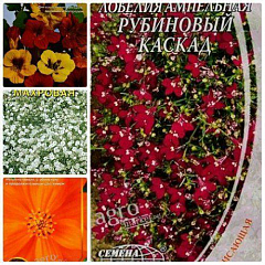 Комплект семян цветов "Разноцветие" 5уп2