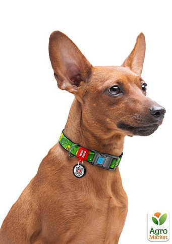 Ошейник для собак нейлоновый WAUDOG Nylon с QR паспортом, рисунок "Авокадо", пластиковый фастекс, Ш 25 мм, Д 33-49 см (4763) - фото 2