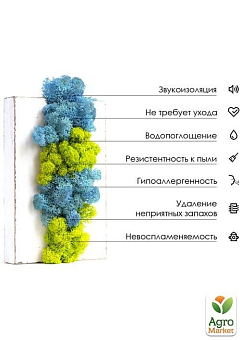 Норвезький мох стабілізований "Помаранчевий" 500 г30