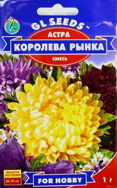Айстра "Королева ринку" ТМ "GL SEEDS" 3г