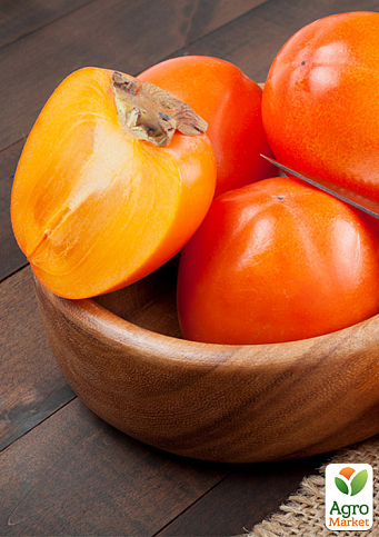 Хурма на виргинском морозостойком подвое "Киллен" высший сорт!