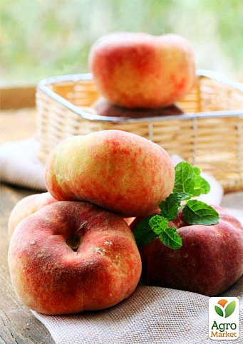 Эксклюзив! Персик желтый с ярким румянцем "Тропический рай" (Tropical paradise) (английская селекция, премиальный высокоурожайный сорт) - фото 5