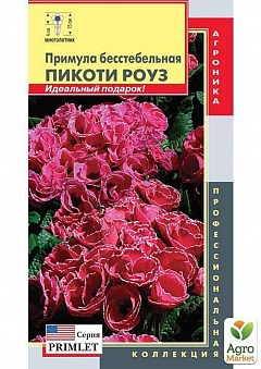 Примула бесстебельная "Пикоти роуз" ТМ "Плазменные семена" 5шт23