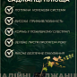 Плющ декоративный "Teardrop" контейнер Р9 купить