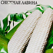 Кукуруза "Снежная лавина" ТМ "Солнечный март" 10г