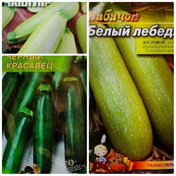 Комплект семян кабачков "Красавцы" 5уп