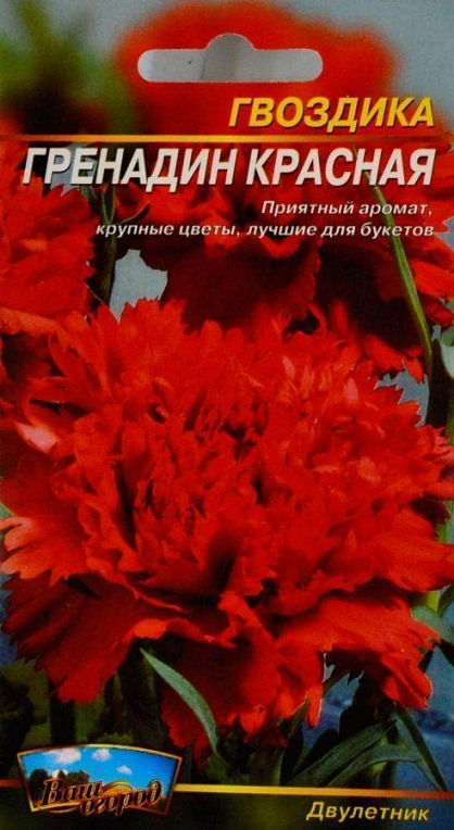 Гвоздика двулетник "Гренадин красная" ТМ "Весна" 0.3г - фото 2
