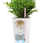 Розумний вазон з автополивом Lechuza Maxi Cubi, білий (18050) купить