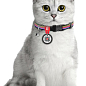Нашийник для котів нейлоновий WAUDOG Nylon з QR паспортом, малюнок "Лінія 1", пластиковий фастекс, Ш 10 мм, Дов 20-30 см (5268) цена