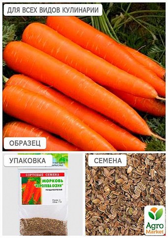 Морковь "Королева осени" (Зипер) ТМ "Весна" 5г - фото 2