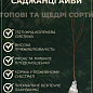 Айва грушевидная (осенний сорт, средний срок созревания) купить