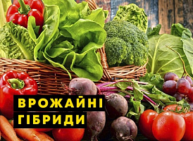 Врожайні гібриди овочів - корисні статті про садівництво від Agro-Market