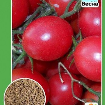 Томат "Черри розовый" ТМ "Весна" 0.1г купить почтой в Одессе, Киеве ...