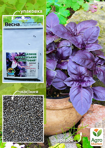 Базилик "Ереванский фиолетовый" (Зипер) ТМ "Весна" 1.5г