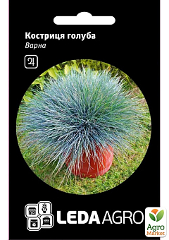 Овсяница голубая "Варна"  ТМ "Leda Agro" 0,2г1