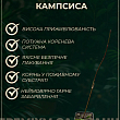 Кампсис оранжевый "Speciosa" цена