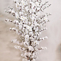 Дерево квітучої білої сакури штучне 1,6 м (15356)