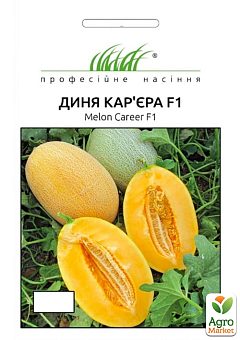 Дыня "Карьера" ТМ "Профессиональные семена" 8шт11