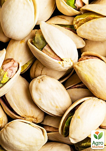 Эксклюзив! Фисташка "Амелия" (Amelia) (высокоурожайный, морозостойкий сорт) - фото 8