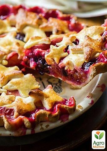 Новинка! Нектарин инжирный пирамидальный. Донат (Donat) 1 саженец в упаковке - фото 2