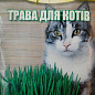 Трава для котів (Великий пакет) ТМ "Весна" 15г купить