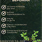 Вероника "Amethyst Plume" вазон С2 цена